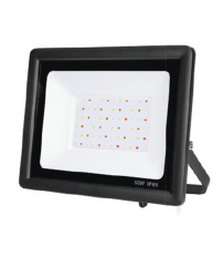 2001723 PROYECTOR LED 50W RGB CON MANDO IP65