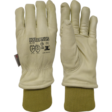 GUANTE TERMICO FRIO HYBERNUS PL-100 T-08