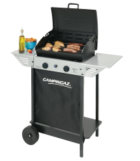 BARBACOA GAS 2F XPERT 100 L 3000004820