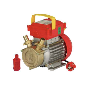 BOMBA TRASVASE ROVER 20CE 0,5HP 1700L/H