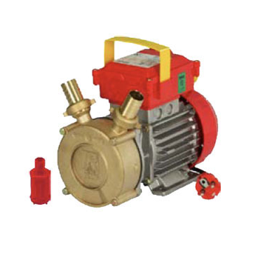 BOMBA TRASVASE ROVER 25CE 0,8HP 2500L/H