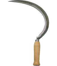 HOZ DENTADA GRANDE 2550-0N