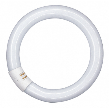 042645 TUBO CIRCULAR LED T9 G10Q 11W 6500K 212mm OSRAM