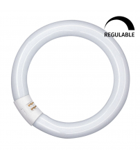 042706 TUBO CIRCULAR LED T9 G10Q 18,3W 6500K 300mm OSRAM