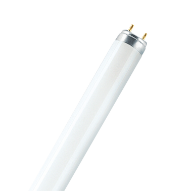 517858 TUBO FLUORESCENTE T8 36W 6500K 1200mm OSRAM