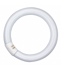 960139 FLUORESCENTE CIRCULAR 40W 6500K OSRAM
