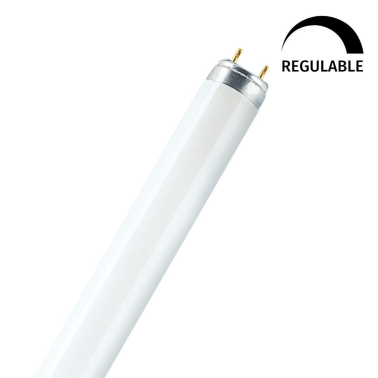 10025 TUBO FLUORESCENTE T8 58W 6500K 1500mm CLAR