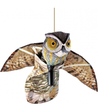 BUHO VOLADOR