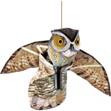 BUHO VOLADOR