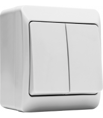 DOBLE INTERRUP.5103 ESTANCO 10A-250V