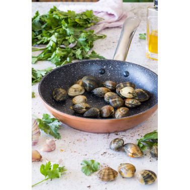 M740020 SARTEN COPPER ALUMINIO FORJADO Ø20cm MONIX