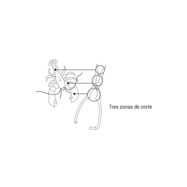 8815 TENAZA ROMPEMARISCO ACERO INOX BOJ