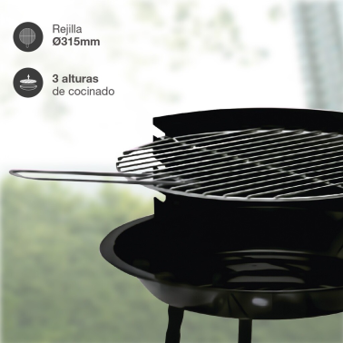 401000004 BARBACOA PORTATIL CARBON 35cm RIGLOS VASSARY