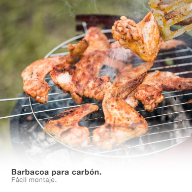 401000004 BARBACOA PORTATIL CARBON 35cm RIGLOS VASSARY