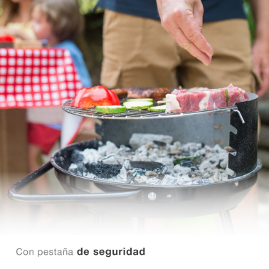 401000004 BARBACOA PORTATIL CARBON 35cm RIGLOS VASSARY
