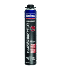 ESPUMA ORBA.PRO TEJAS PIS.10050638 650ML