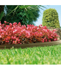 BORDURA BARK BORDER NORTENE 9CMX10M MARRON CLARO