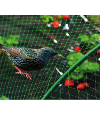 MALLA ANTIPAJAROS INTERMAS BIRDNET 4X6M VERDE