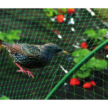 MALLA ANTIPAJAROS INTERMAS BIRDNET 4X6M VERDE