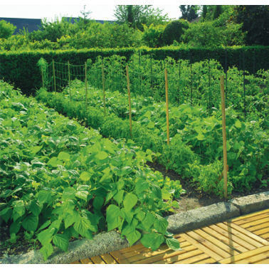 MALLA ENTUTOR INTERMAS TRELLINET 2X10 VERDE