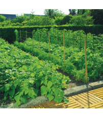 MALLA ENTUTOR INTERMAS TRELLINET 2X100 VERDE
