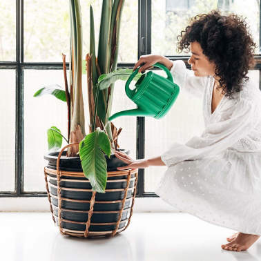 14713 REGADERA VERDE 10L AZAHAR HEGA