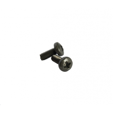 W204N JUEGO 2 TORNILLOS M4X10 NEGRO
