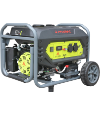GENERADOR A.ELECT+MANU EPW3000 AVR 3000W