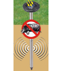 ANTI-TOPOS SOLAR STOCKER