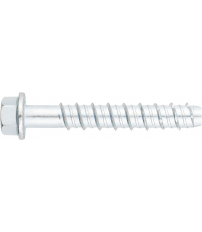 ANCLAJE TORNILLO DIRECTO HORM TFE 12X090