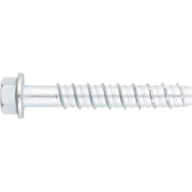 ANCLAJE TORNILLO DIRECTO HORM TFE 14X100