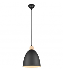 R30681032 LAMPARA COLGANTE 1xE27 IP20 150cm NETRA JAGGER TRIO