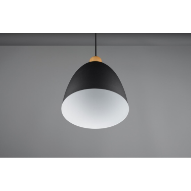 R30681032 LAMPARA COLGANTE 1xE27 IP20 150cm NETRA JAGGER TRIO