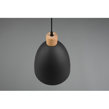 R30681032 LAMPARA COLGANTE 1xE27 IP20 150cm NETRA JAGGER TRIO