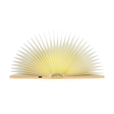 04633 LAMPARA DE SOBREMESA ALBUM LED 1,6W STRUHM