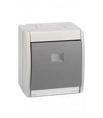 4490160-035 PULSADOR 10 A. CON LUMINOSO IP55