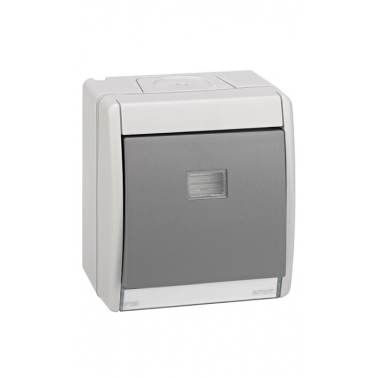 4490160-035 PULSADOR 10 A. CON LUMINOSO IP55