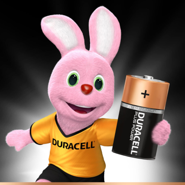 2 x PILA ALCALINA LR14 C DURACELL PLUS