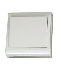 0200490 INTERRUPTOR DE SUPERFICIE BLANCO
